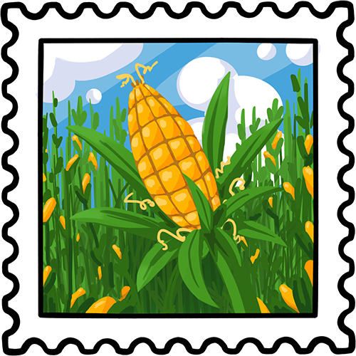 Corn